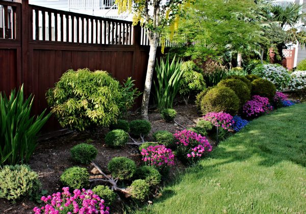 Garden Care Service