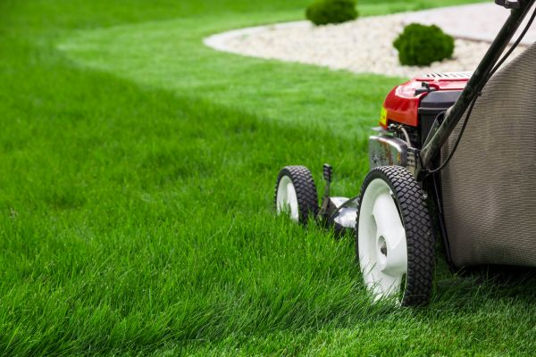 Lawn Maintenance