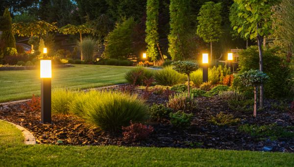 Landscape Management
