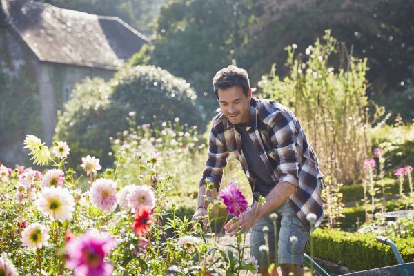 Plant Management