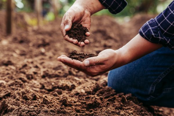 Soil Improvement Service