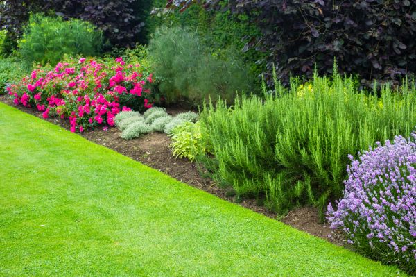 Flower Garden Care