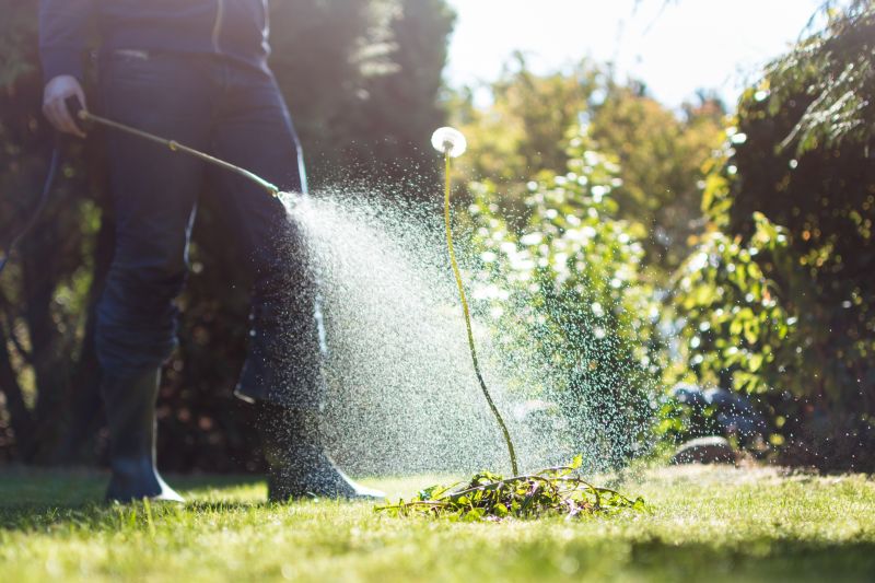 Plant Fertilizing Service