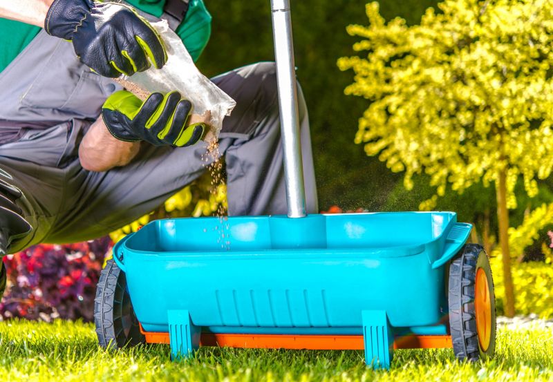 Lawn Care During Winter